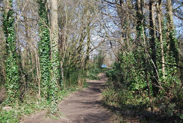 118 Shepherds Lane Dartford Dış mekan fotoğraf